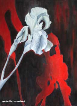 Iris blanc, 81 x 60 cm